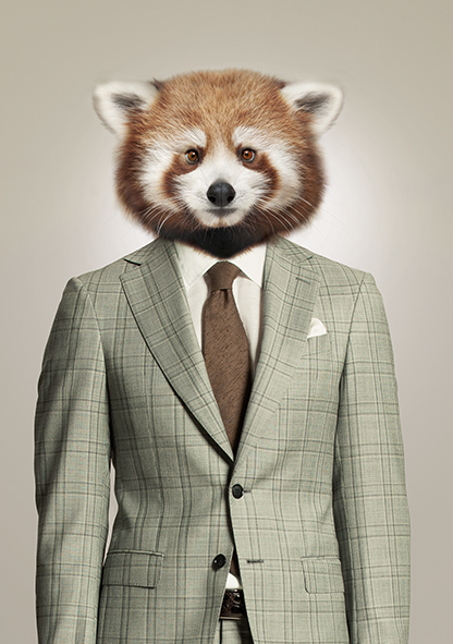Costume sur-mesure Bruxelles Panda roux