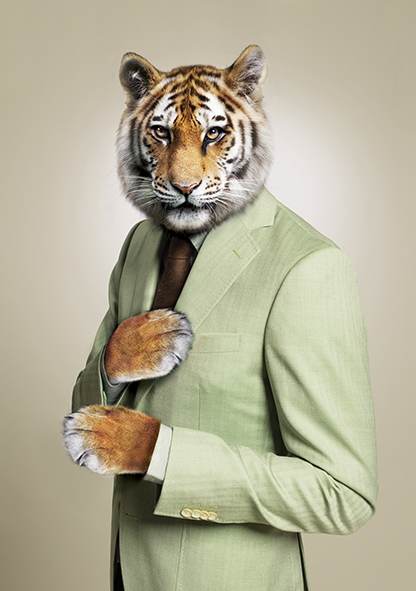 Costume sur-mesure Bruxelles Tigre