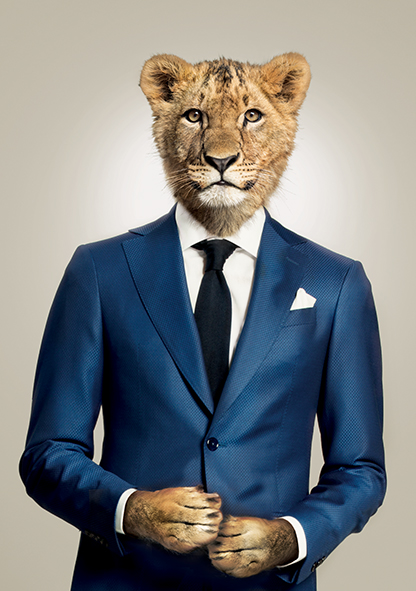 Costume sur-mesure Bruxelles Lion